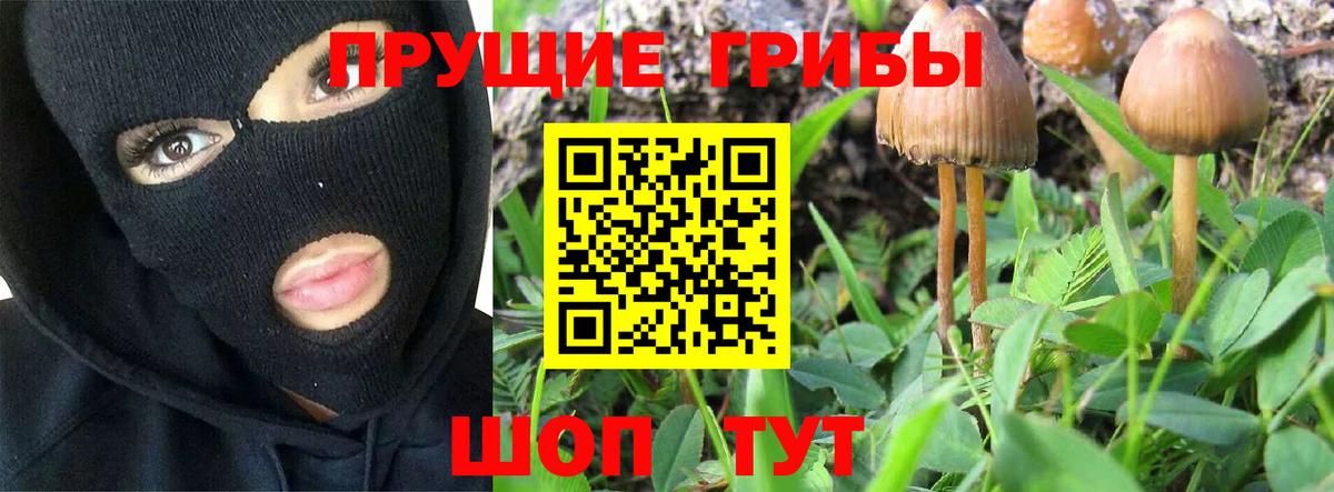Галлюциногенные грибы Cubensis Можга